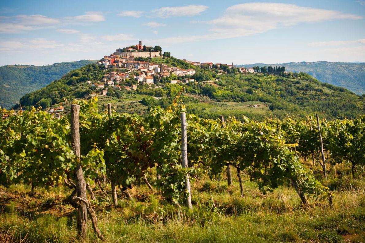 Apartman Fachin Motovun Exterior foto
